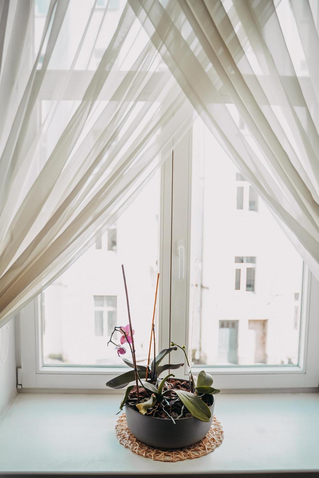 Family Apartment In Riga Center And Free Parking Ngoại thất bức ảnh